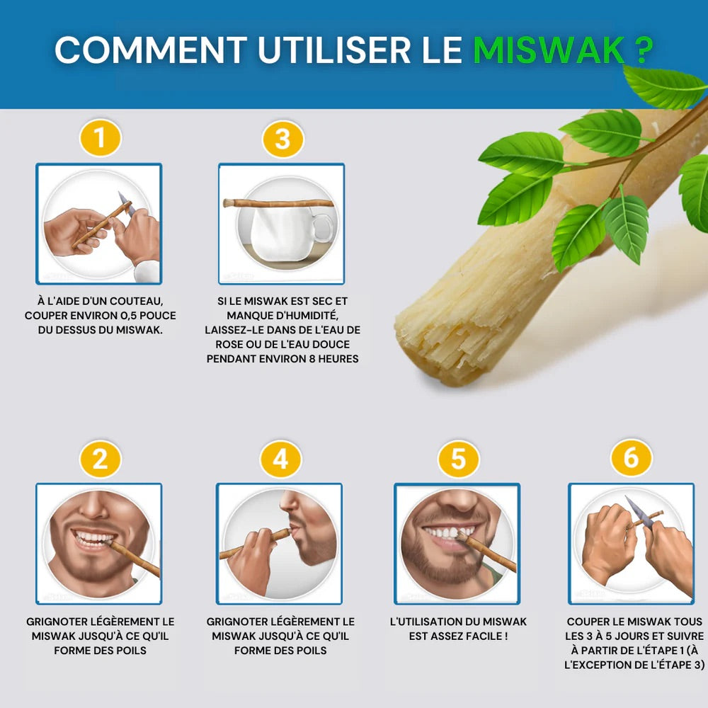 Bâton de Siwak Naturel – Hygiène Buccale Authentique | NIYA TIJARA